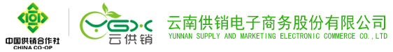 J9国际站电子商务股份有限公司